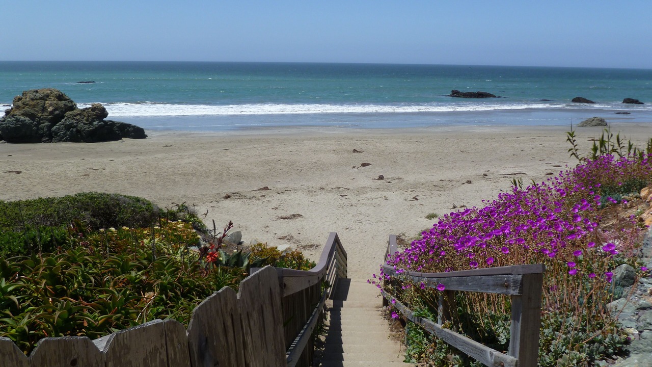 Photo of Others in Cayucos