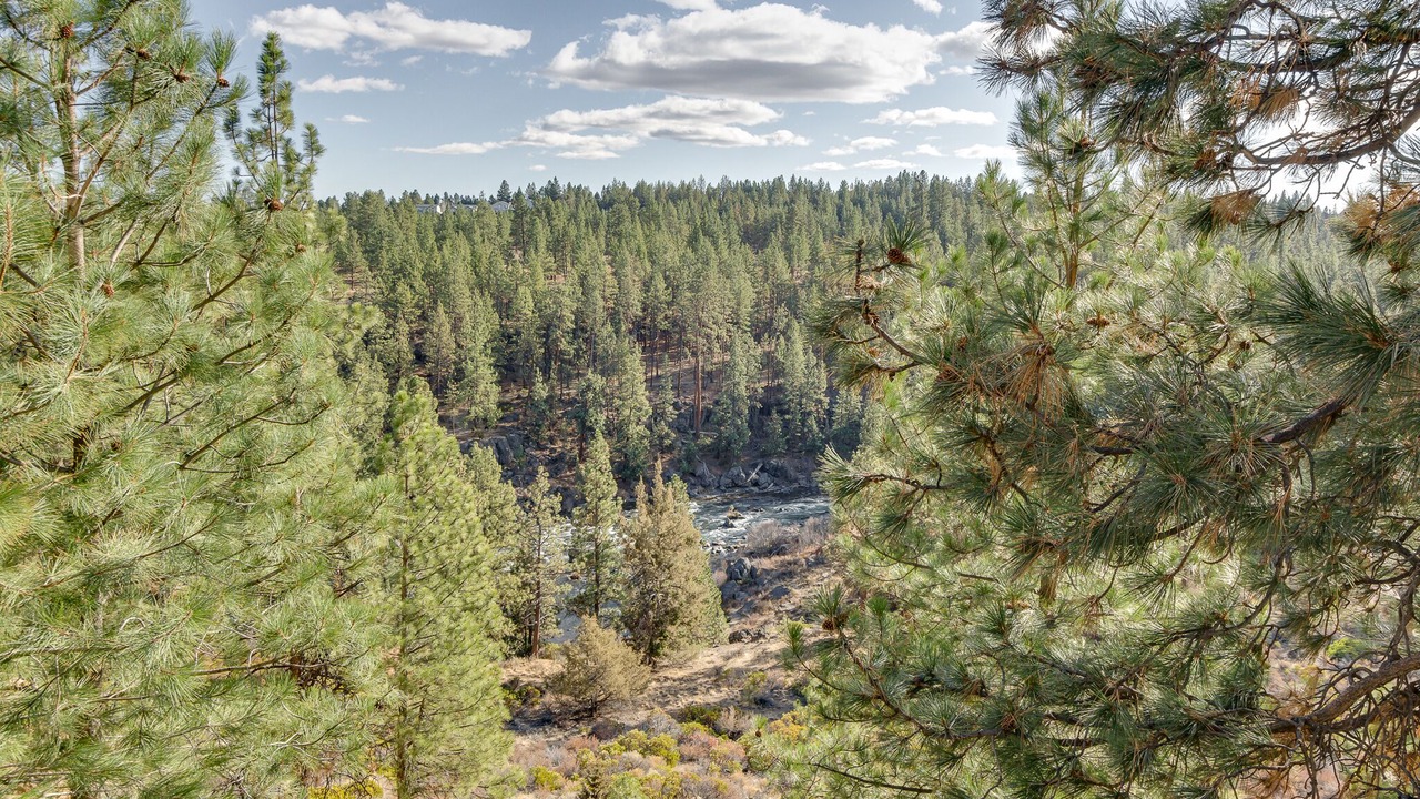 Photo of Outdoor in Century West