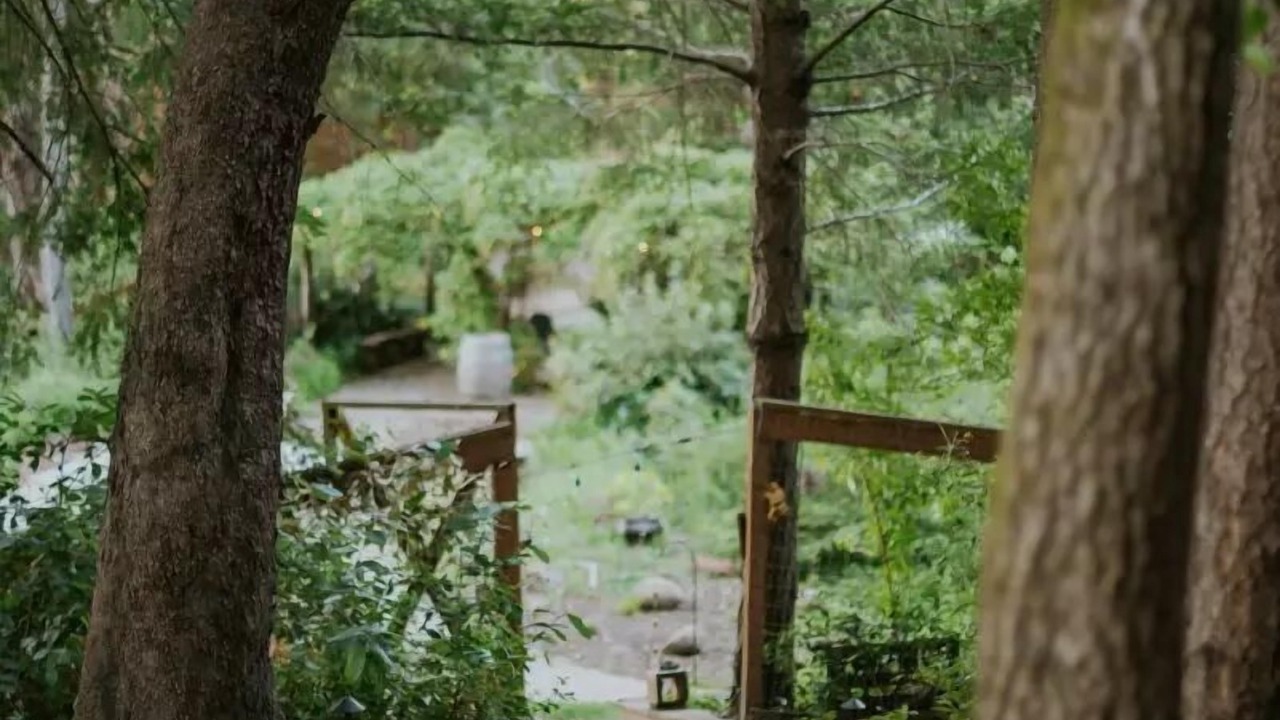 Photo of Outdoor in Felton