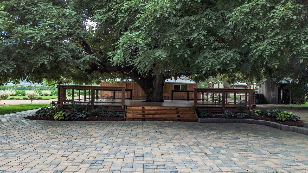 Photo of Patio Balcony in Medford