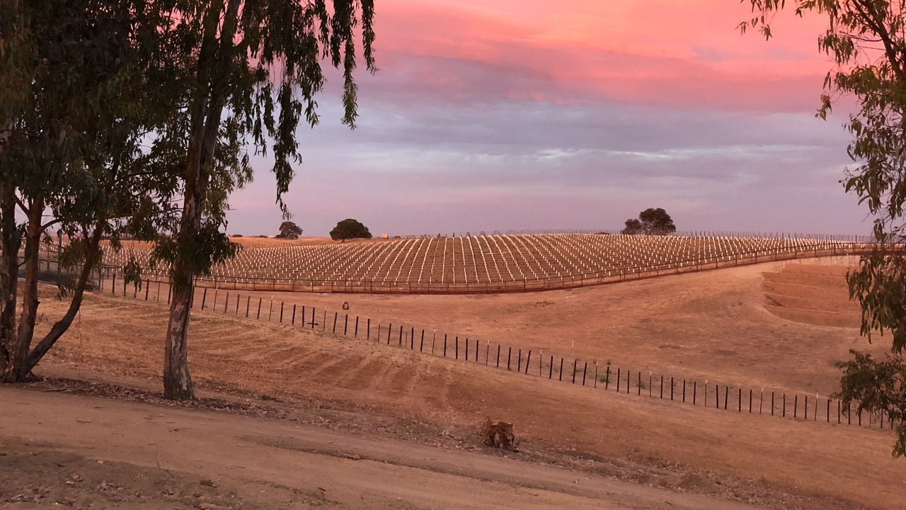 Photo of Others in Paso Robles