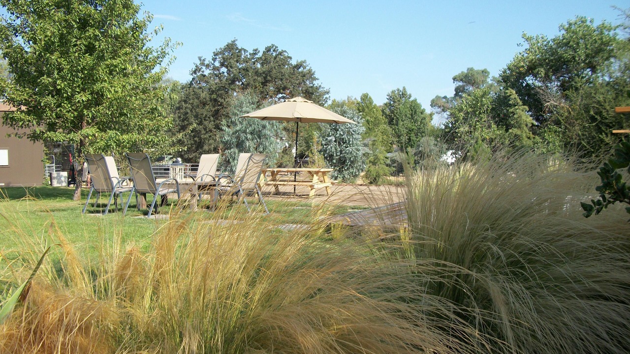 Photo of Outdoor in Paso Robles