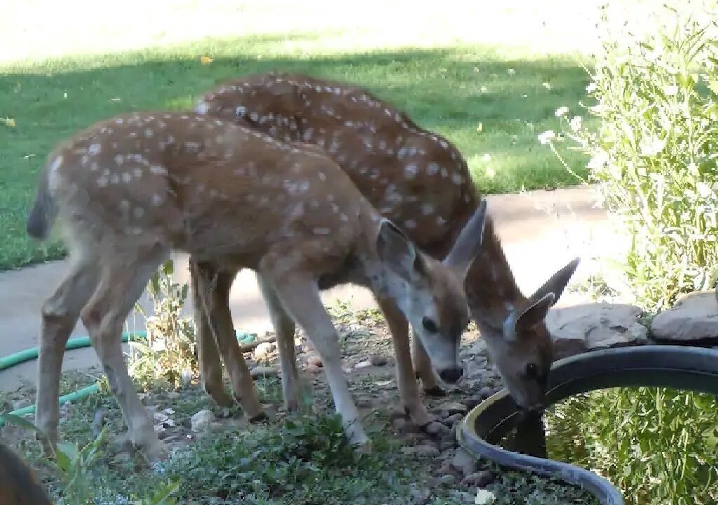 Photo of Others in Klamath Falls