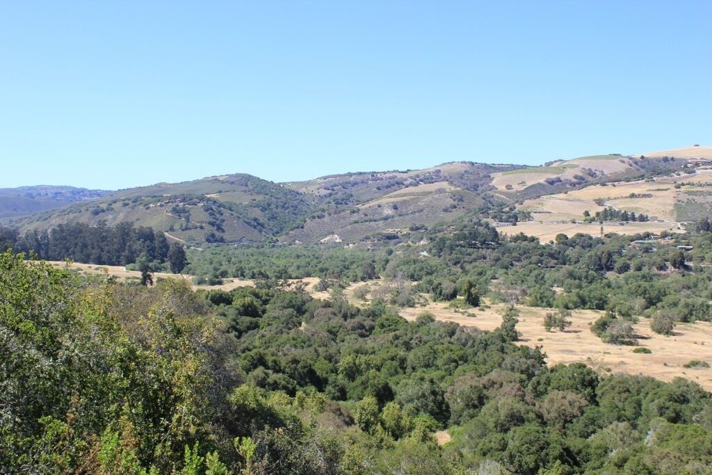 Photo of Outdoor in Carmel Point