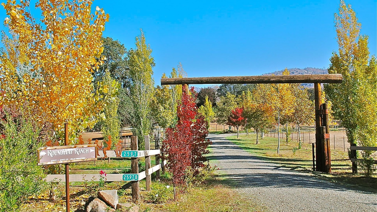 Photo of Others in Catheys Valley
