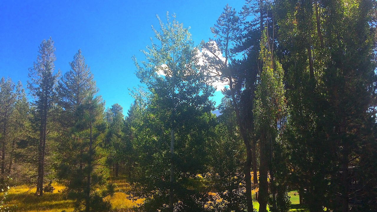 Photo of Outdoor in Tahoe Island