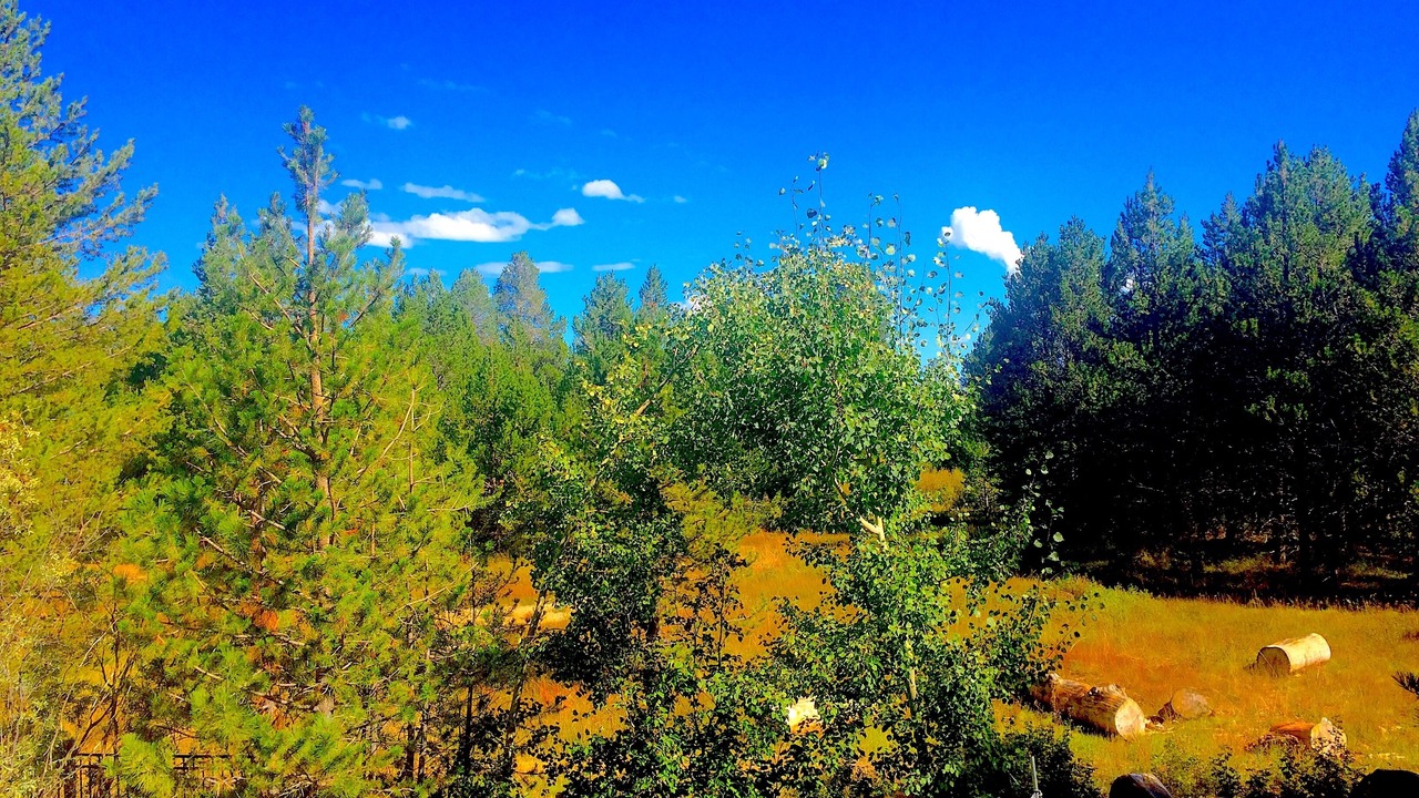 Photo of Outdoor in Tahoe Island