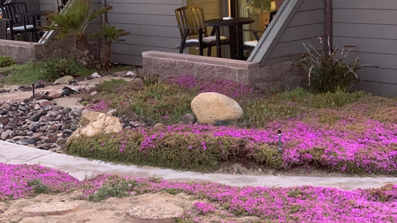 Photo of Outdoor in Imperial Beach
