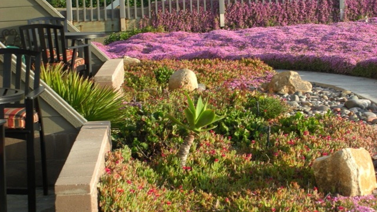 Photo of Outdoor in Imperial Beach
