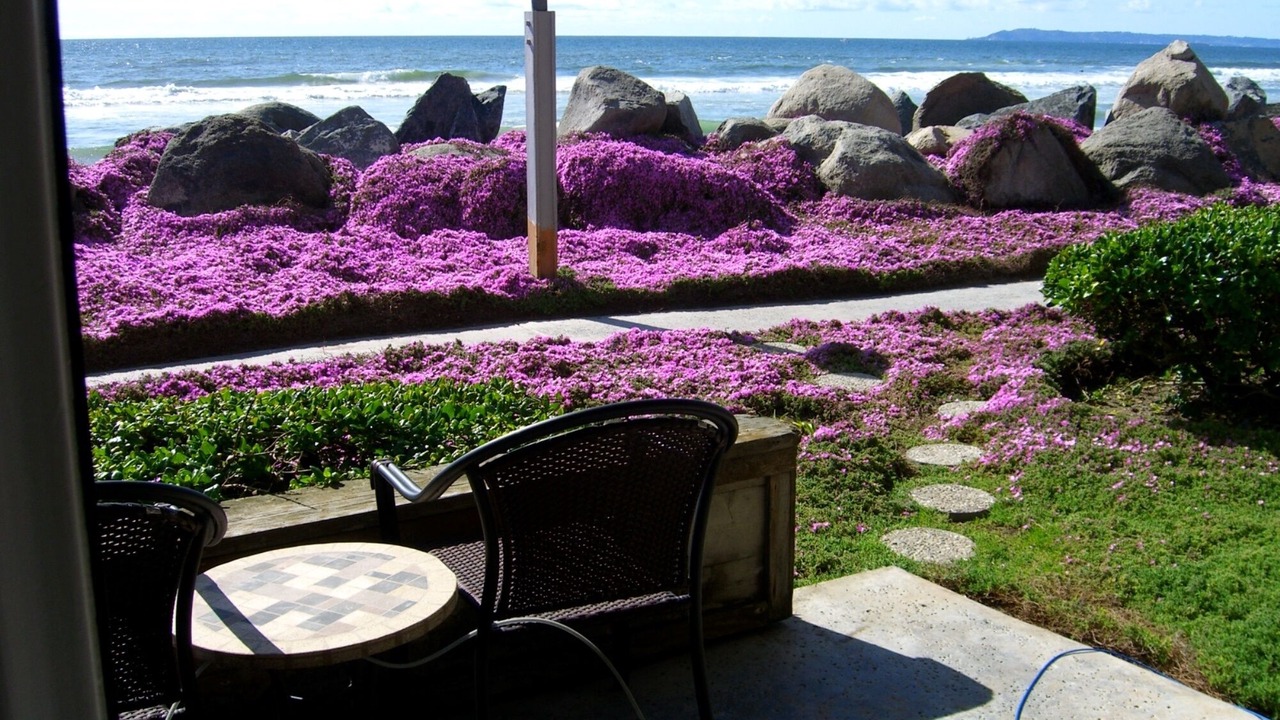 Photo of Patio Balcony in Imperial Beach