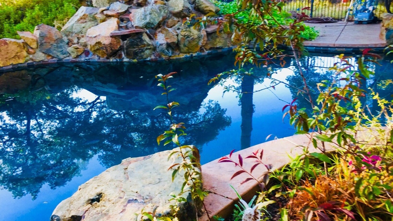 Photo of Outdoor in Shingle Springs