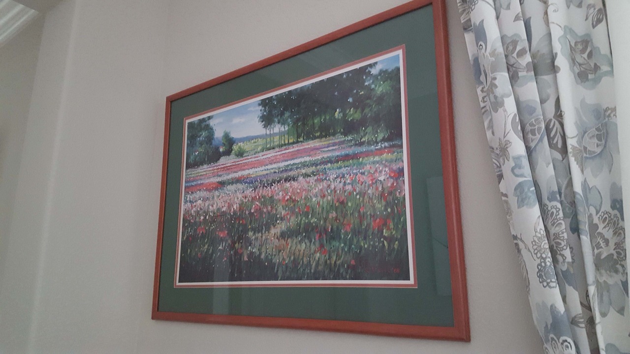 Photo of Bedroom in Berryessa