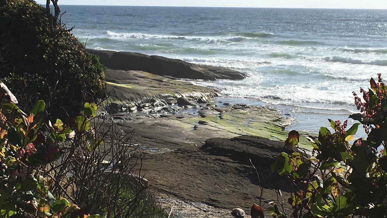 Photo of Others in Yachats