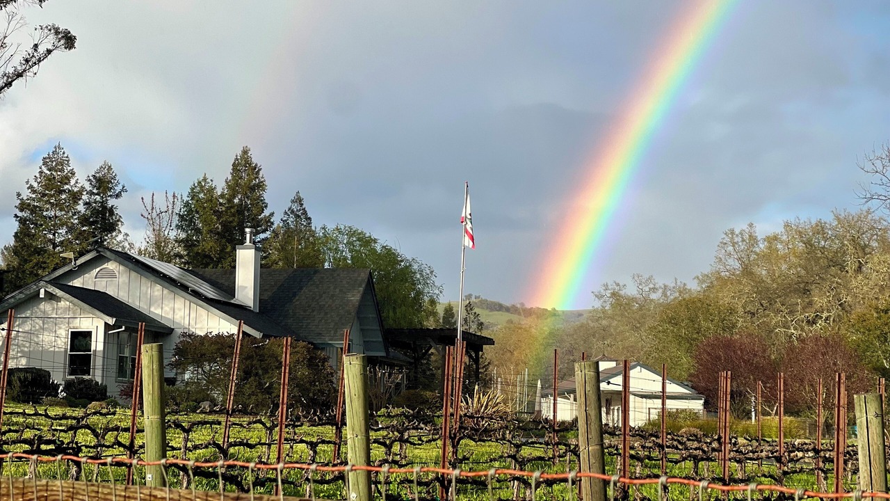 Photo of Outdoor in Healdsburg