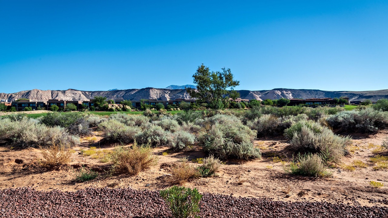 Photo of Others in St. George