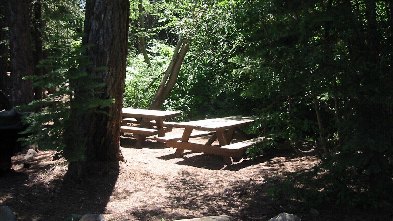 Photo of Others in Truckee