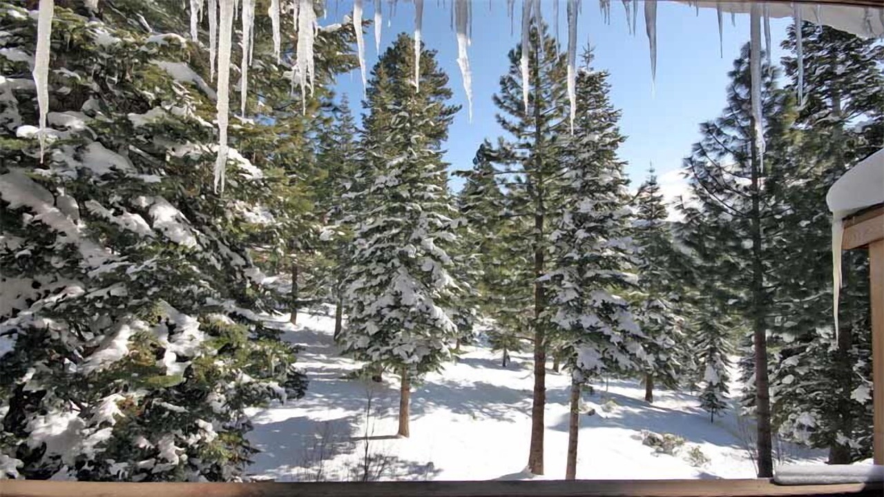 Photo of Bedroom in Truckee