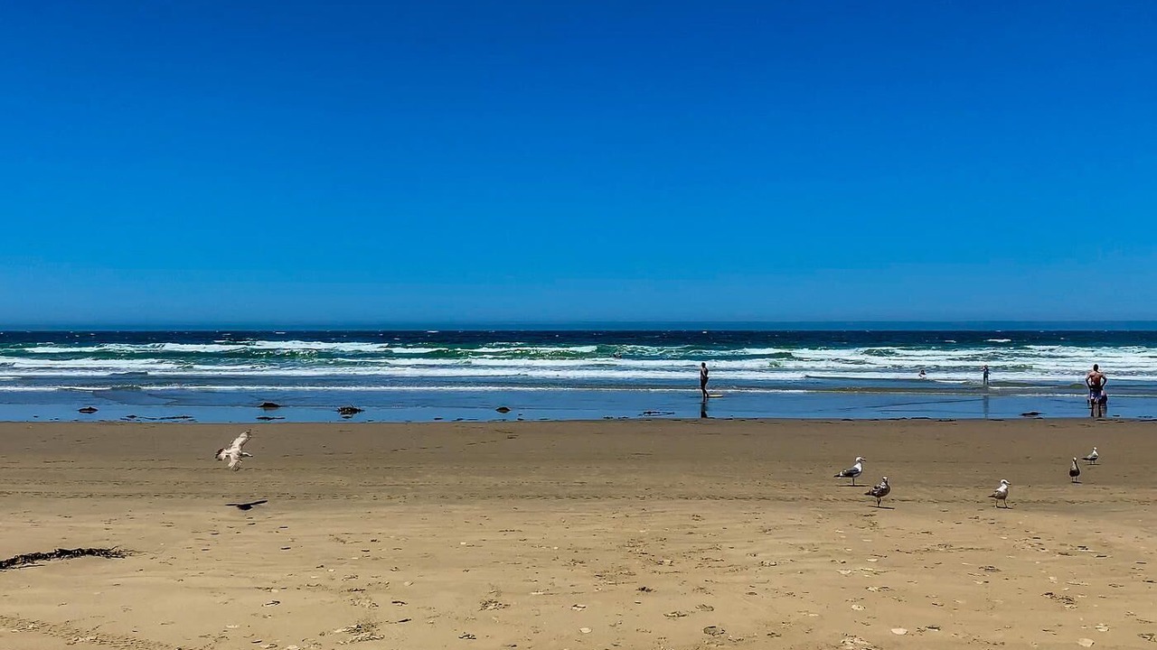 Photo of Others in Arroyo Grande