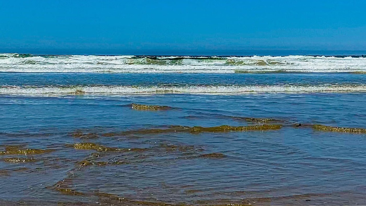 Photo of Others in Arroyo Grande