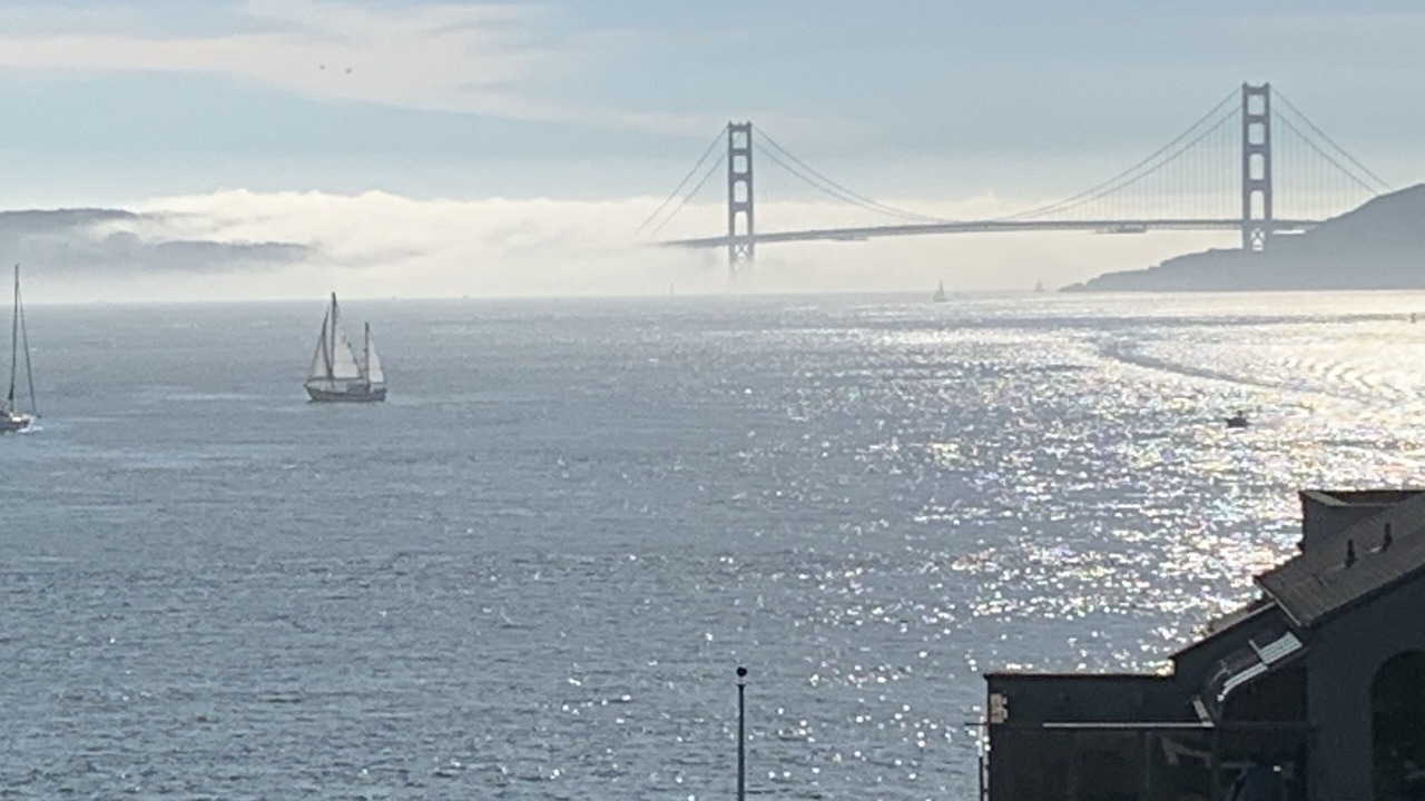Photo of Others in Belvedere Tiburon