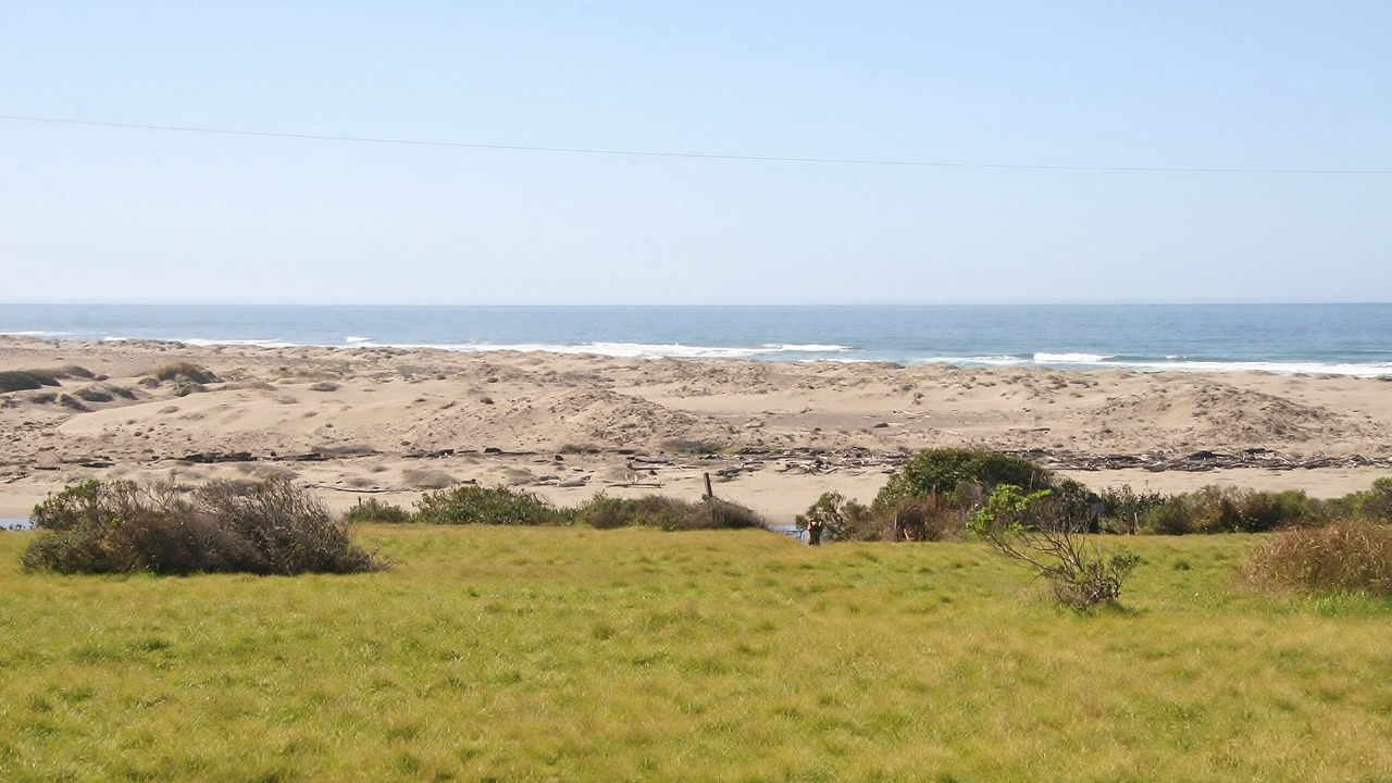 Photo of Others in Fort Bragg