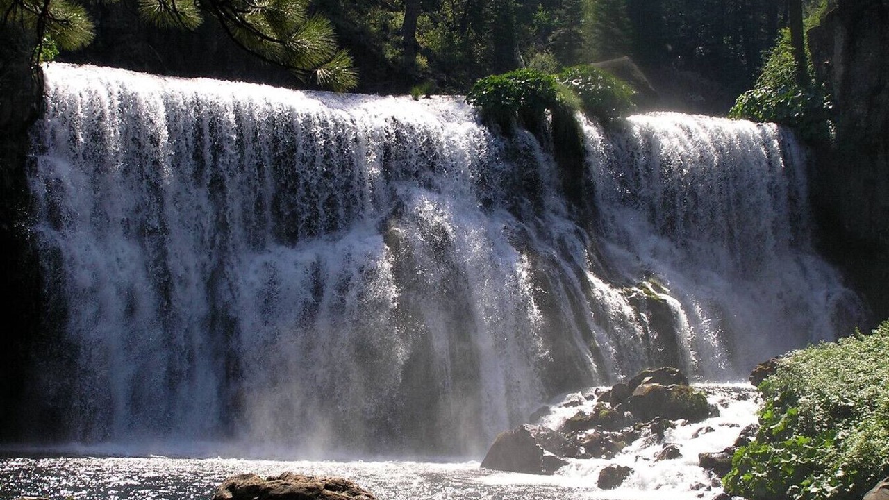 Photo of Others in McCloud