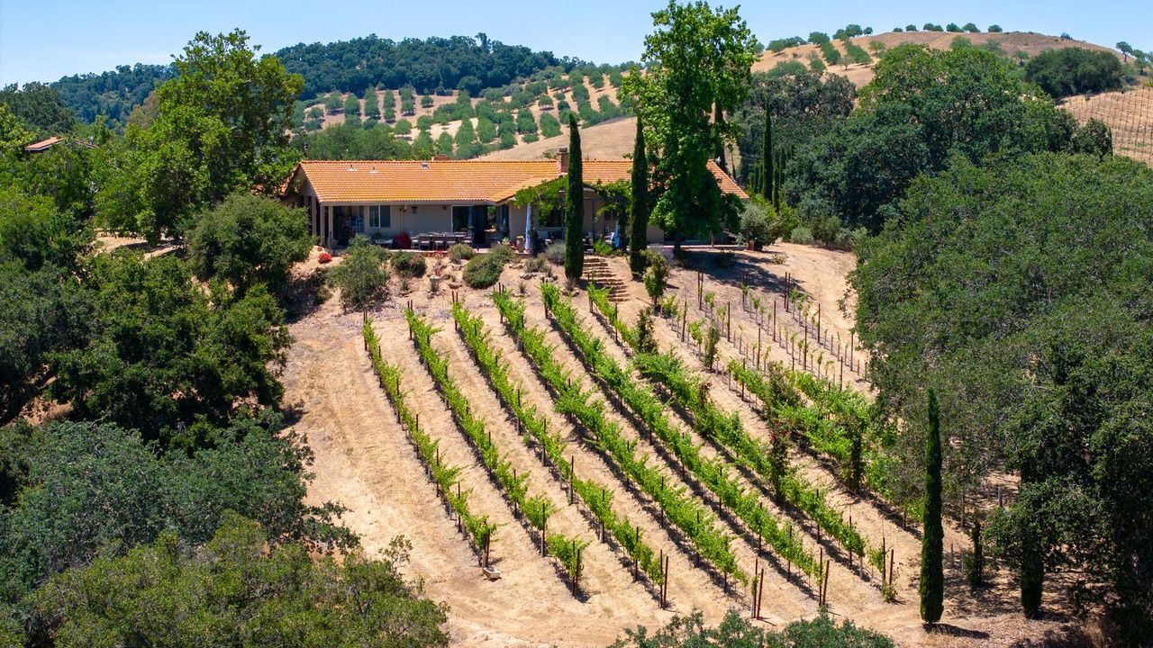 Photo of Others in Paso Robles