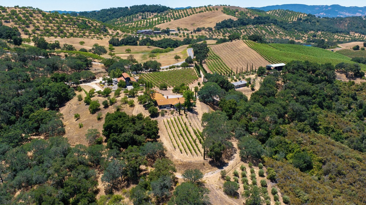 Photo of Others in Paso Robles