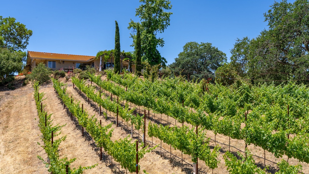 Photo of Others in Paso Robles