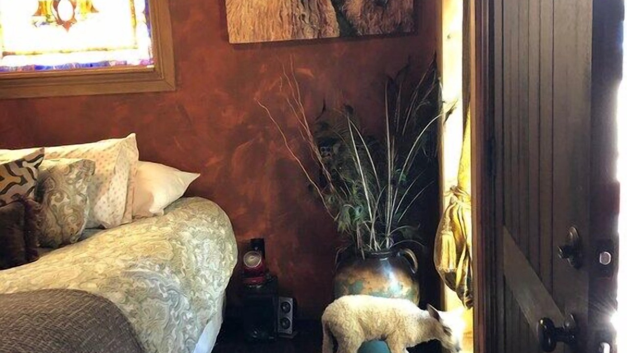 Photo of Bedroom in Temecula