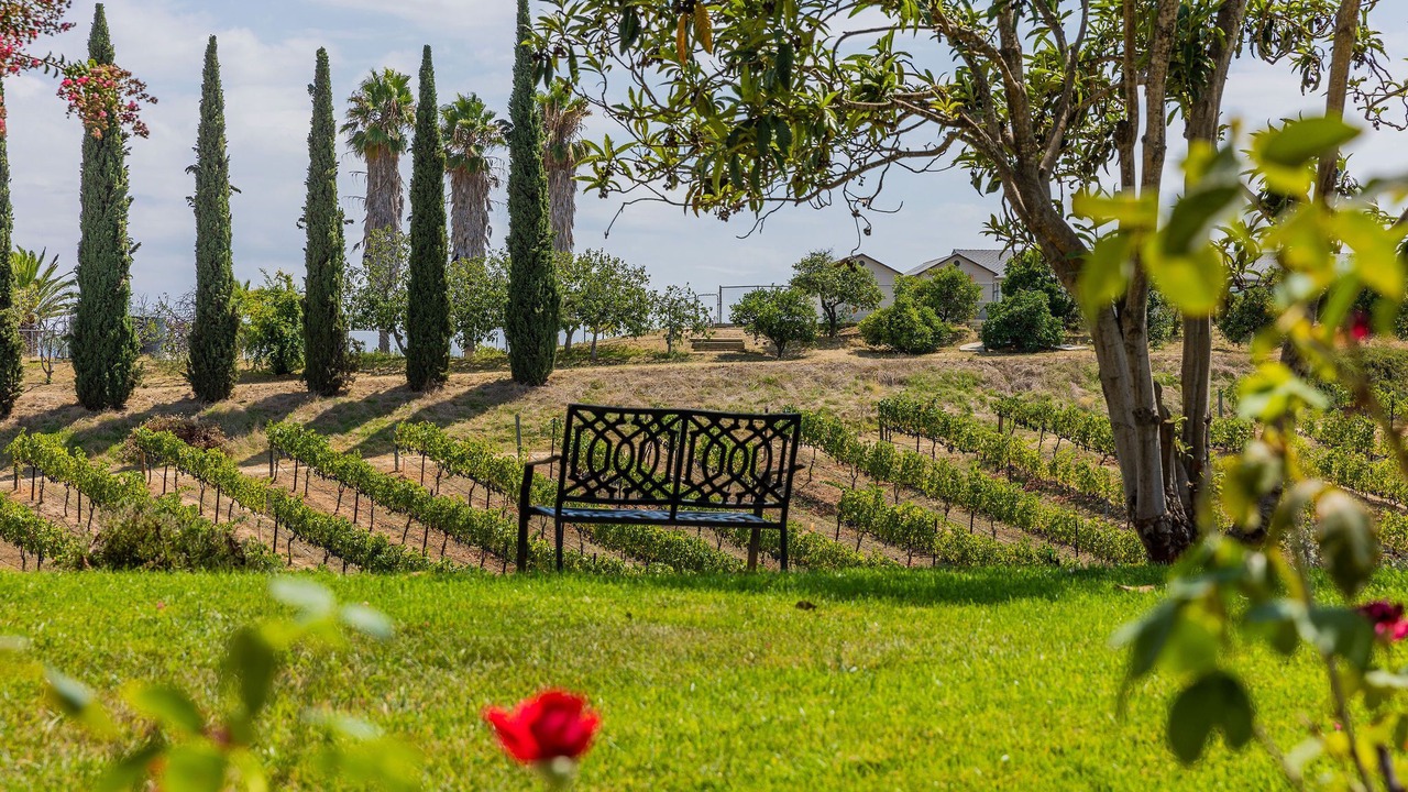 Photo of Outdoor in Temecula