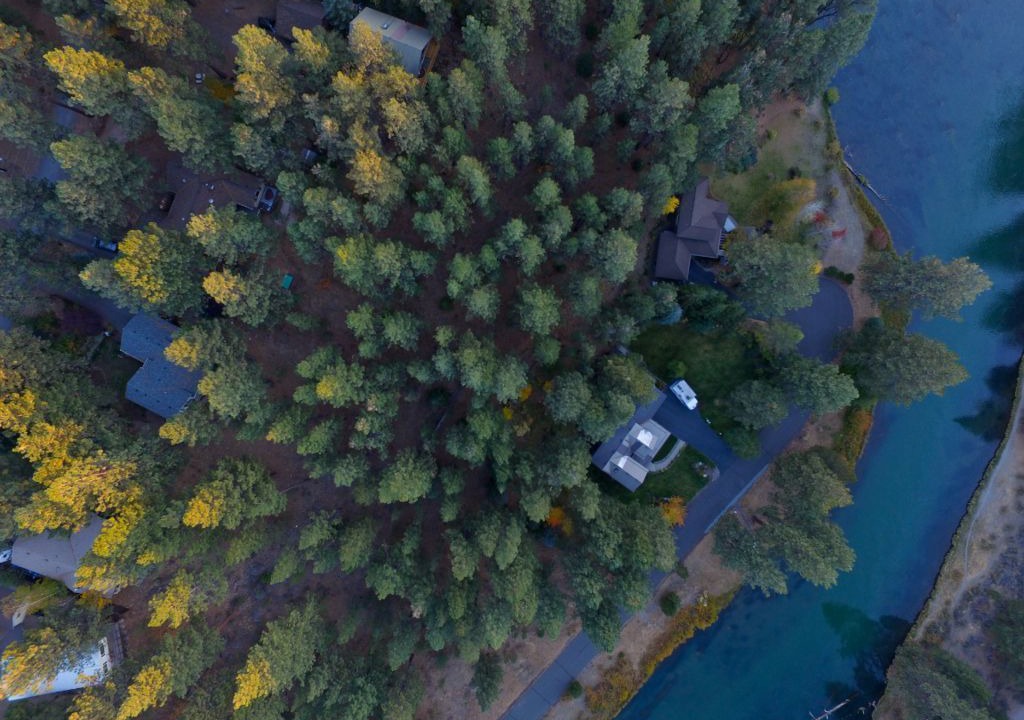 Photo of Others in Deschutes River Woods