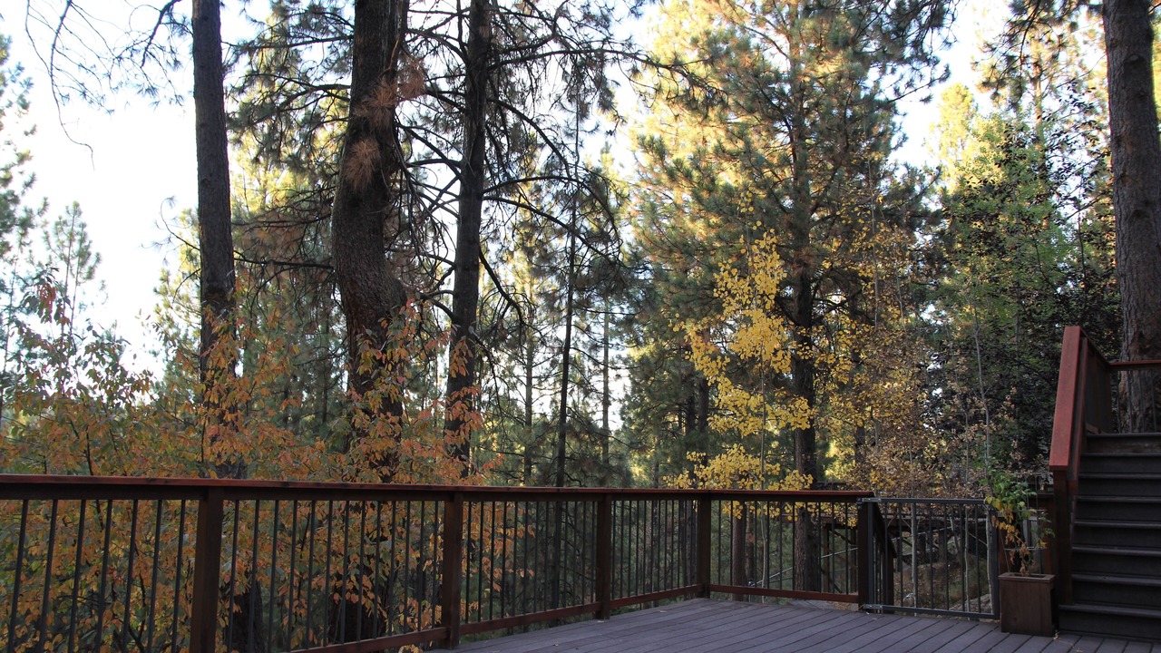 Photo of Outdoor in Deschutes River Woods