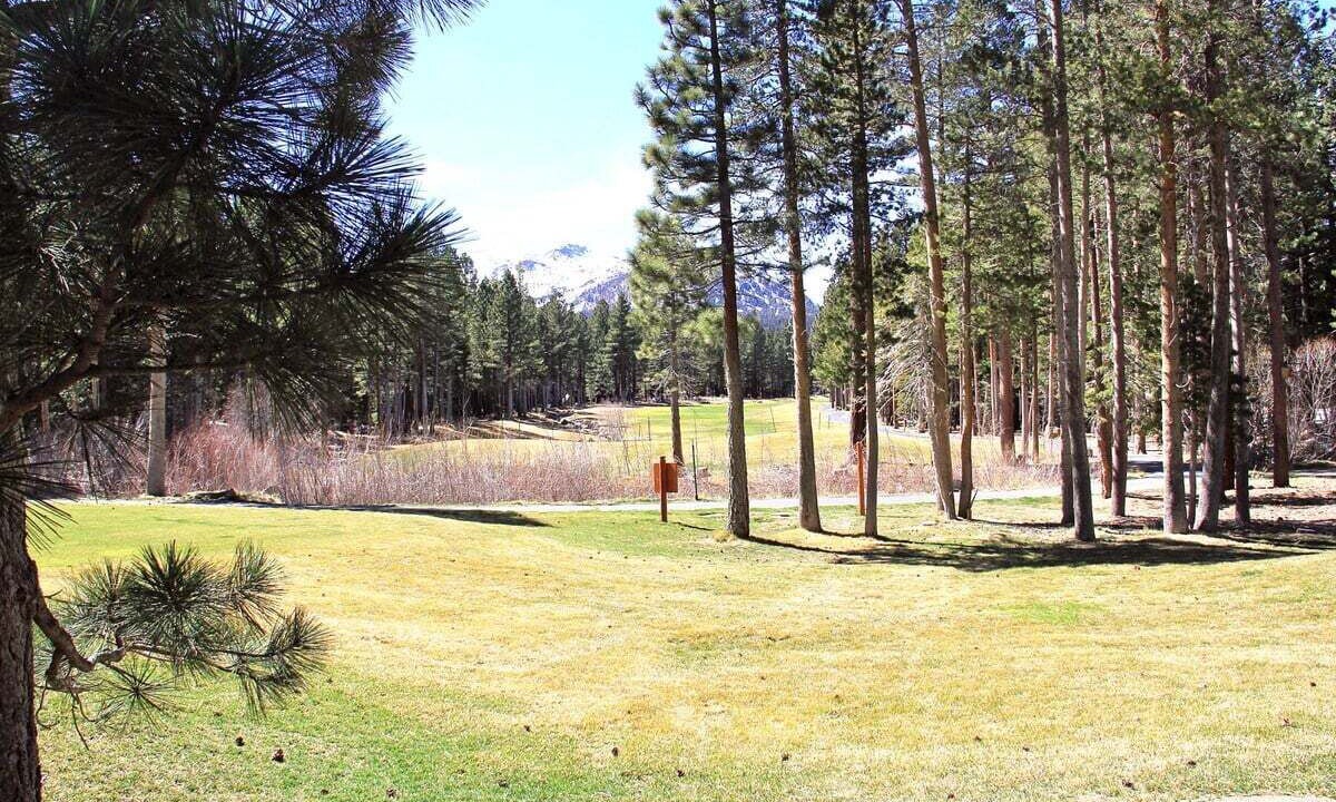 Photo of Others in Mammoth Lakes