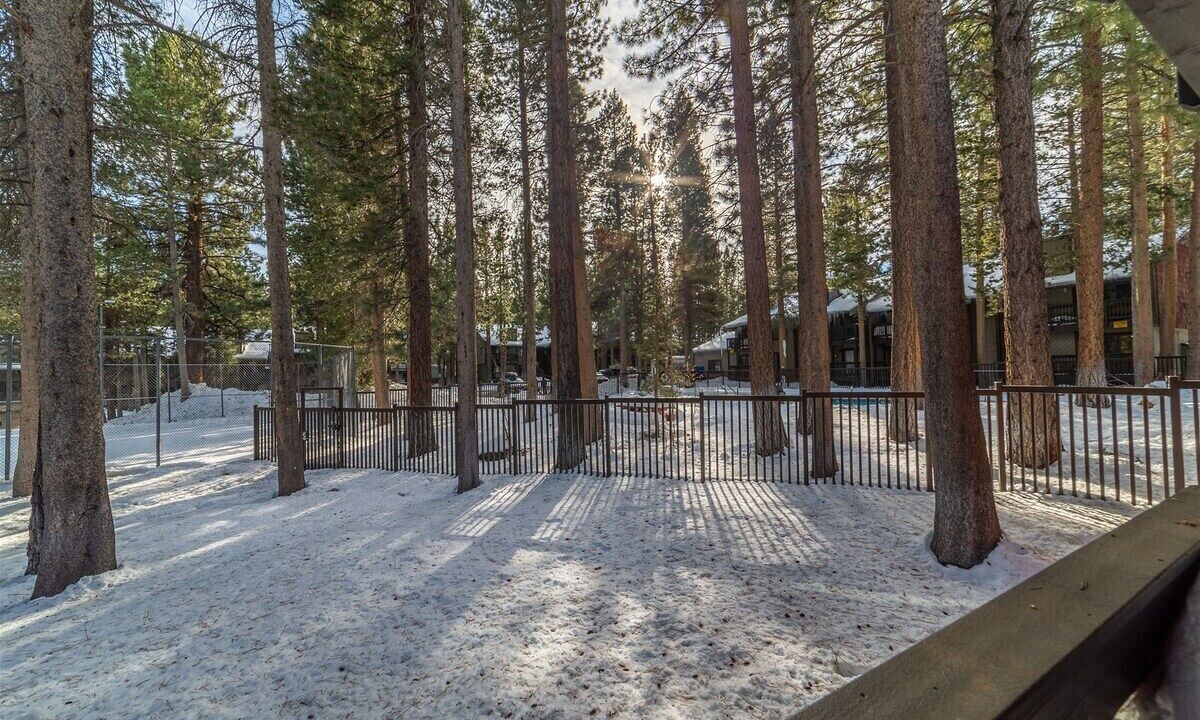 Photo of Outdoor in Mammoth Lakes