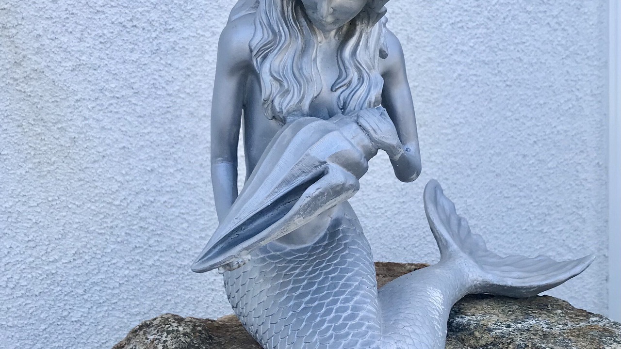 Photo of Outdoor in Morro Bay