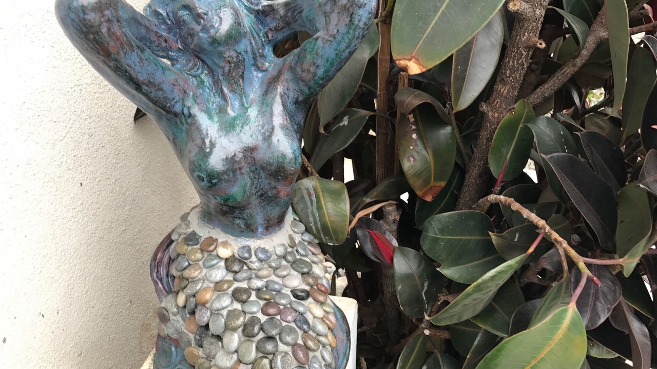 Photo of Outdoor in Morro Bay