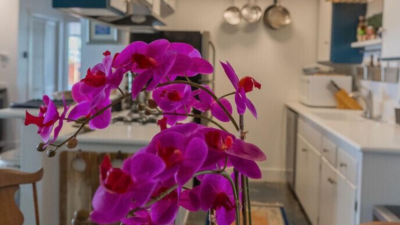 Photo of Kitchen in Dana Point
