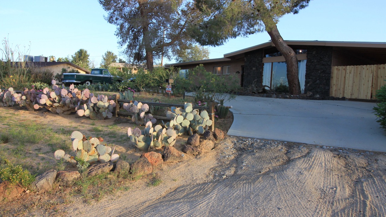 Photo of Others in Joshua Tree