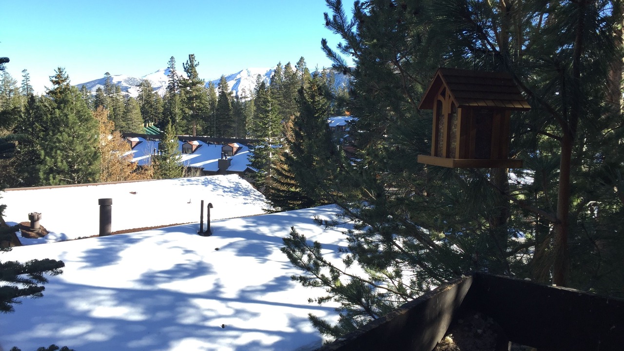Photo of Patio Balcony in Mammoth Lakes