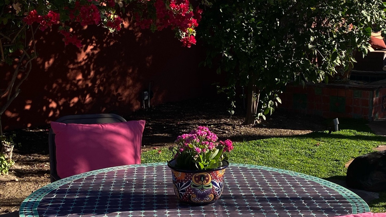 Photo of Outdoor in Tahquitz River Estates