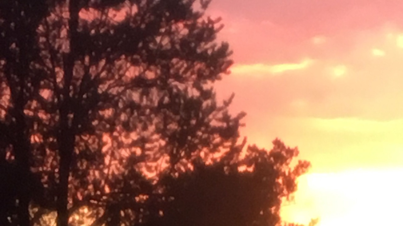 Photo of Outdoor in Fredonia