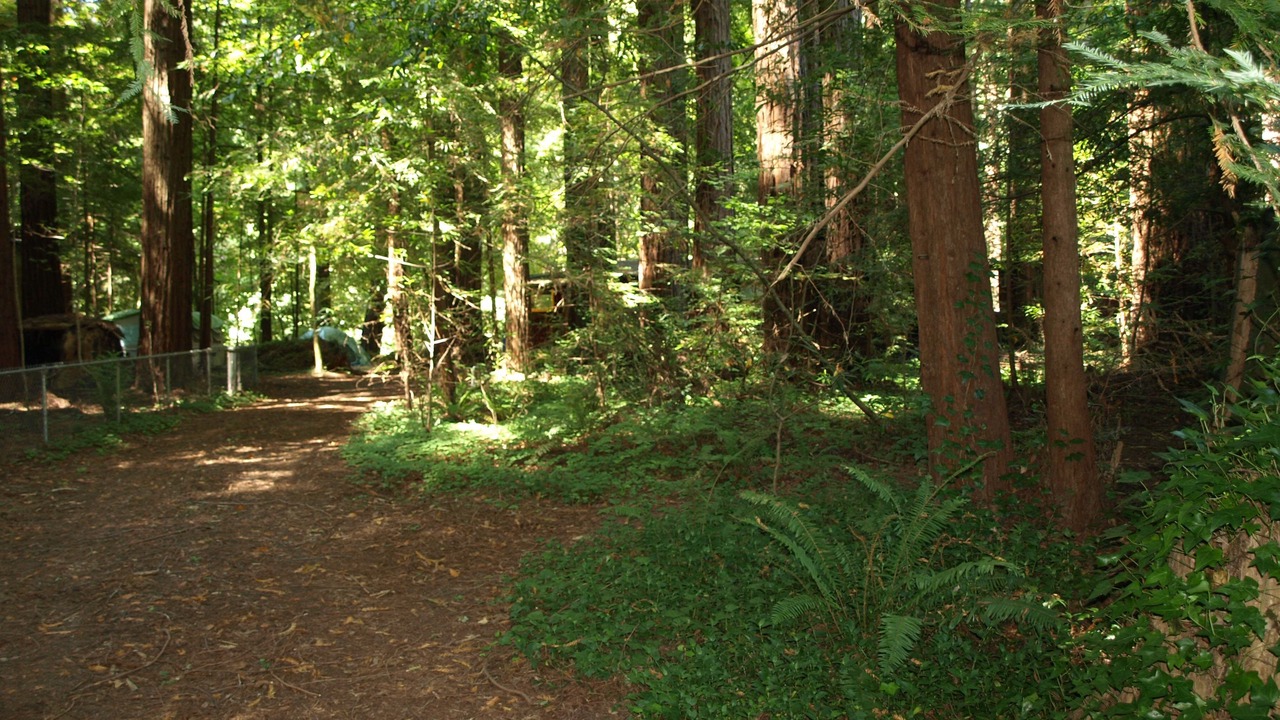 Photo of Outdoor in Cazadero