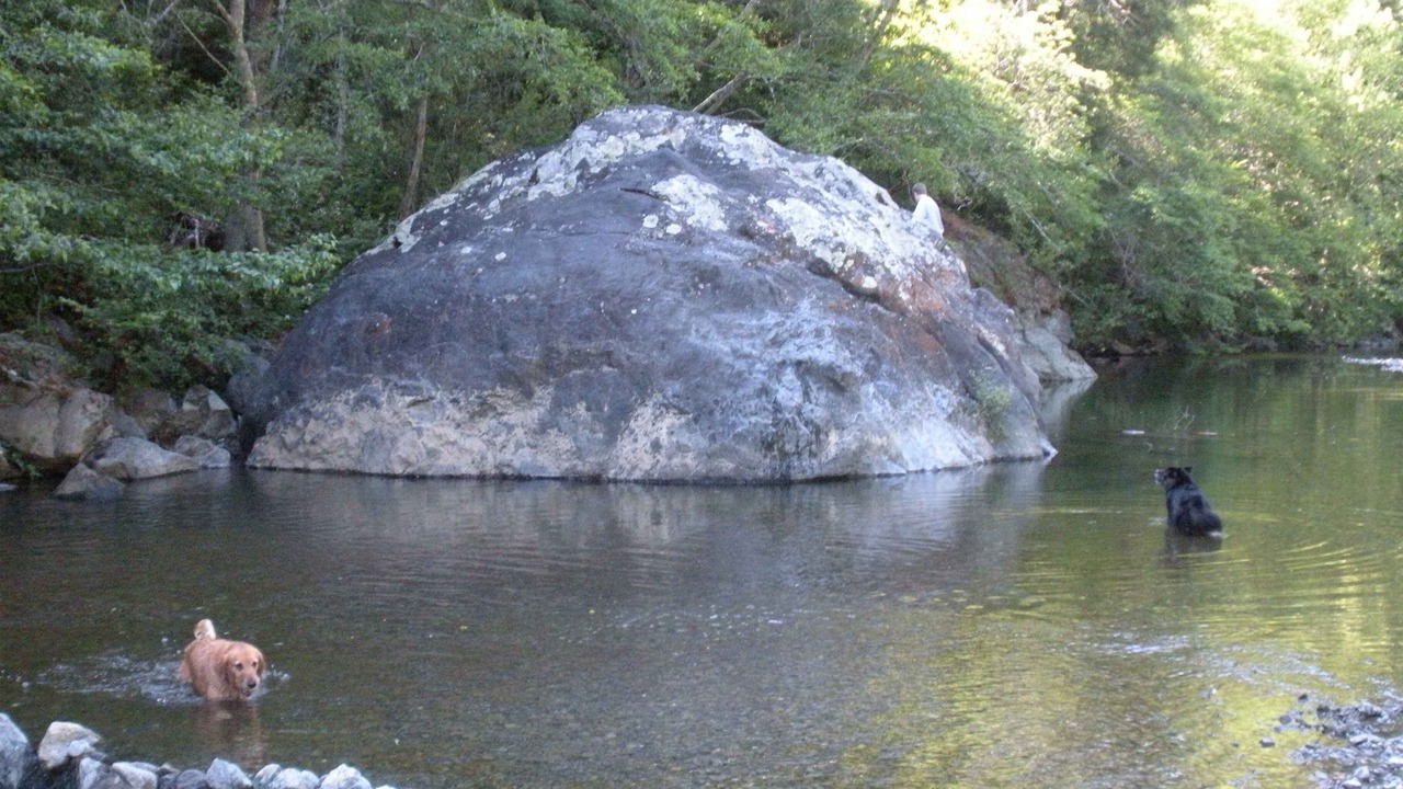Photo of Others in Cazadero