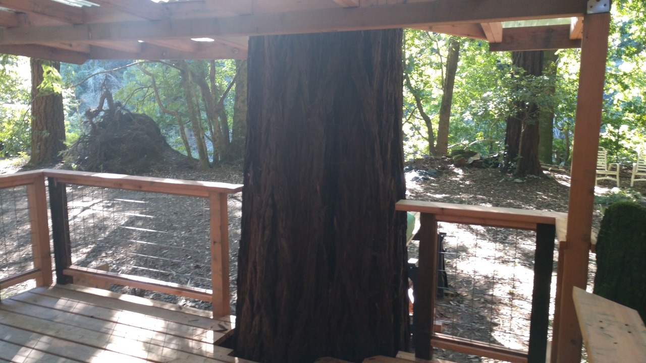 Photo of Patio Balcony in Cazadero