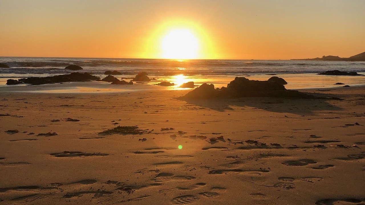 Photo of Others in Cayucos