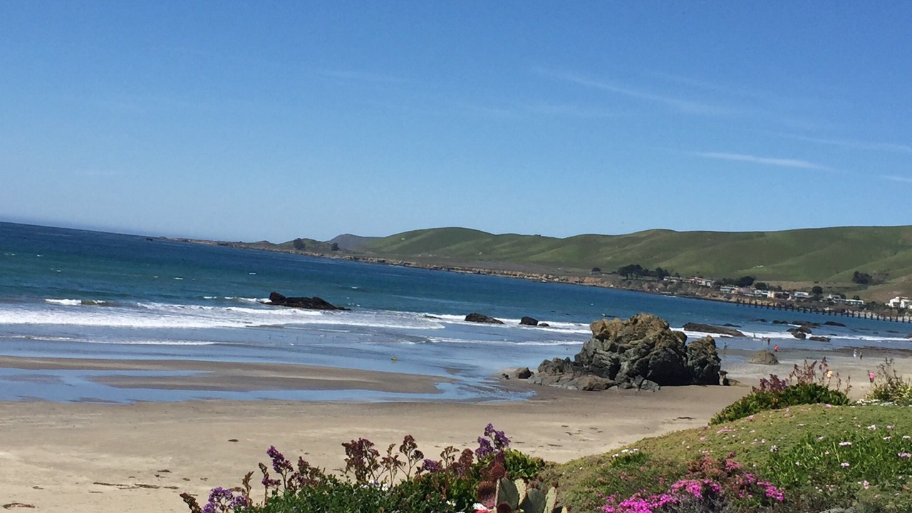 Photo of Others in Cayucos