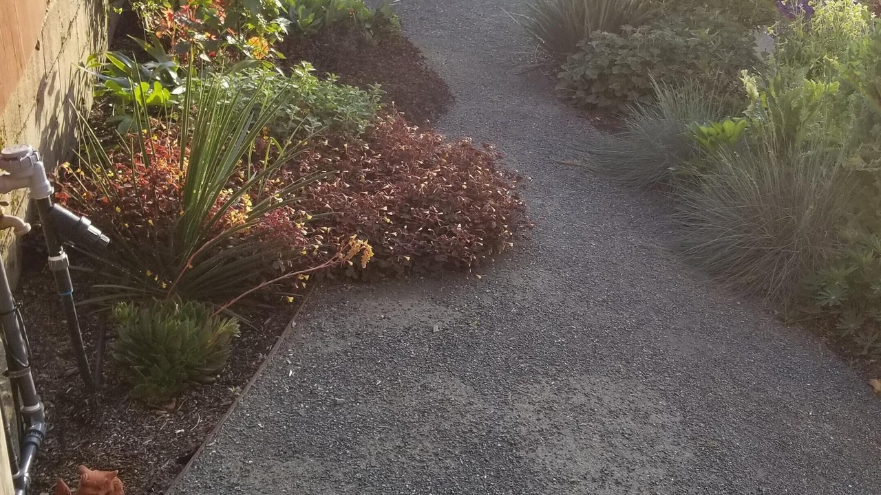 Photo of Outdoor in Richmond Annex