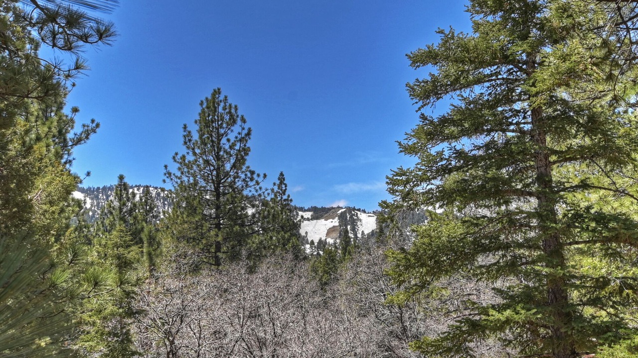 Photo of Others in Upper Moonridge