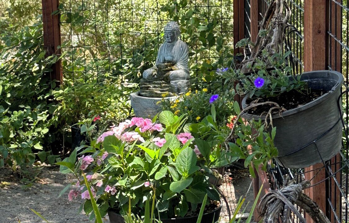 Photo of Outdoor in Atascadero